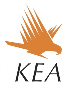 Kea campervans review