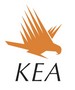 Kea Campervan Rental review
