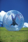 zorbing zorbing