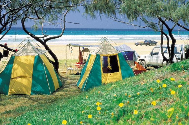 Dog Friendly Camping Places In North Queensland Dog Friendly Camping Places In North Queensland